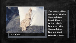 Packing
The seed-cotton
was inserted into
the container
barrel. Then a
device called a
bow inserted in
the container
bins and scrub
process is done.
 