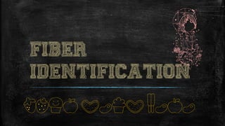 Fiber
Identification
Your text here
 