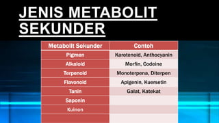 JENIS METABOLIT
SEKUNDER
Metabolit Sekunder Contoh
Pigmen Karotenoid, Anthocyanin
Alkaloid Morfin, Codeine
Terpenoid Monoterpena, Diterpen
Flavonoid Apigenin, Kuersetin
Tanin Galat, Katekat
Saponin
Kuinon
 