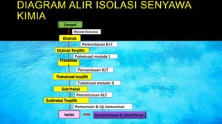 DIAGRAM ALIR ISOLASI SENYAWA
KIMIA
Sampel
Ekstrak
Metode Ekstraksi
Pemantauan KLT
Fraksinasi metode I
Ekstrak Terpilih
Fraksinas
i
Fraksinasi terpilih
Sub fraksi
Subfraksi Terpilih
Isolat Karakterisasi & identifikasi
Pemantauan KLT
Fraksinasi metode II
Pemantauan KLT
Pemurnian & Uji kemurnian
 
