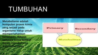 TUMBUHAN
Metabolisme adalah
kumpulan proses kimia
yang terjadi pada
organisme hidup untuk
mempertahankan
kehidupan. Ribuan
senyawa kimia terlibat
dalam metabolisme
organisme hidup.
 
