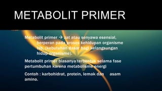 METABOLIT PRIMER
Metabolit primer  zat atau senyawa esensial,
berperan pada proses kehidupan organisme
tsb, (kebutuhan dasar bagi kelangsungan
hidup organisme).
Metabolit primer biasanya terbentuk selama fase
pertumbuhan karena metabolisme energi
Contoh : karbohidrat, protein, lemak dan asam
amino.
 