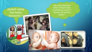 Apakah setiap
hari kalian
bercermin ?
Apa yang terjadi jika
kalian menjauh atau
mendekat ke cermin ?
Kenapa hal tersebut
terjadi ?
 