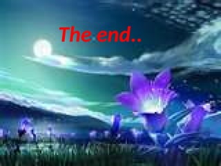 The end..
 