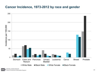 23
Cancer Incidence, 1973-2012 by race and gender
0
50
100
150
200
250
Stomach Colon and
Rectum
Pancreas Urinary
Bladder
Leukemia Cervix Breast Prostate
Incidence
per
100,000
White Male Black Male White Female Black Female
 