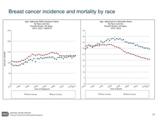 25
Breast cancer incidence and mortality by race
 
