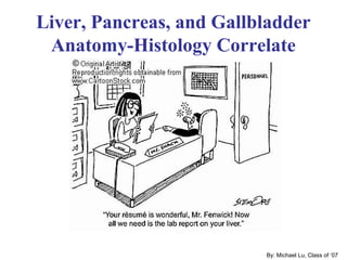 Liver, Pancreas, and Gallbladder
 Anatomy-Histology Correlate




                          By: Michael Lu, Class of ‘07
 
