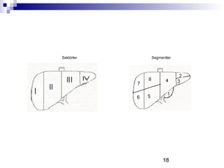 18
Sektörler Segmentler
 