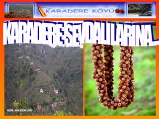 karadere KARADERE SEVDALILARINA | PPT