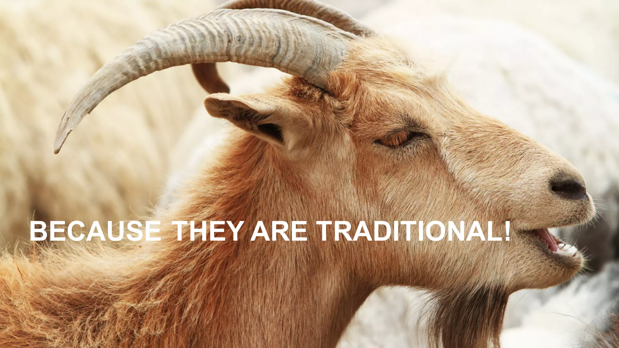 BECAUSE  THEY  ARE  TRADITIONAL!
 