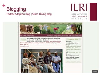 Social media, research and development: 10 weeks as a KMIS intern at ILRI