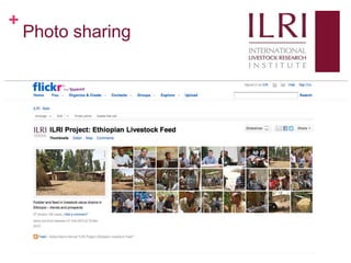 Social media, research and development: 10 weeks as a KMIS intern at ILRI