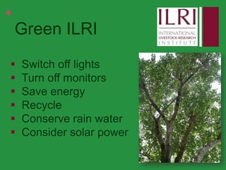 Social media, research and development: 10 weeks as a KMIS intern at ILRI