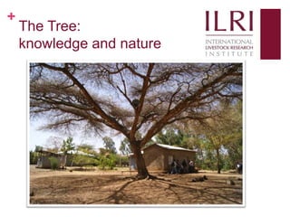 Social media, research and development: 10 weeks as a KMIS intern at ILRI