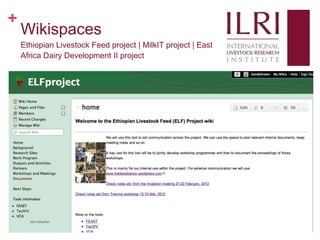 Social media, research and development: 10 weeks as a KMIS intern at ILRI