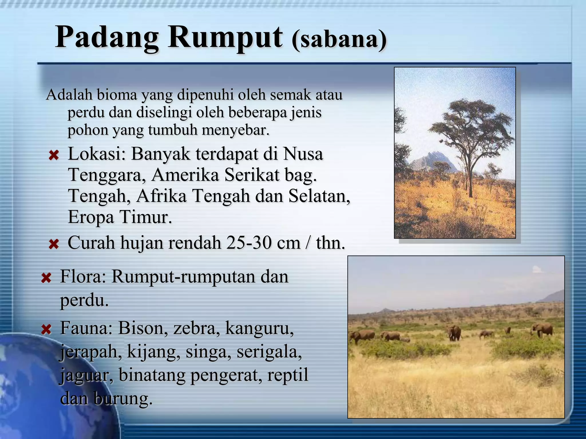 Padang Rumput (sabana)
Adalah bioma yang dipenuhi oleh semak atau
perdu dan diselingi oleh beberapa jenis
pohon yang tumbuh menyebar.
Lokasi: Banyak terdapat di Nusa
Tenggara, Amerika Serikat bag.
Tengah, Afrika Tengah dan Selatan,
Eropa Timur.
Curah hujan rendah 25-30 cm / thn.
Flora: Rumput-rumputan dan
perdu.
Fauna: Bison, zebra, kanguru,
jerapah, kijang, singa, serigala,
jaguar, binatang pengerat, reptil
dan burung.
 