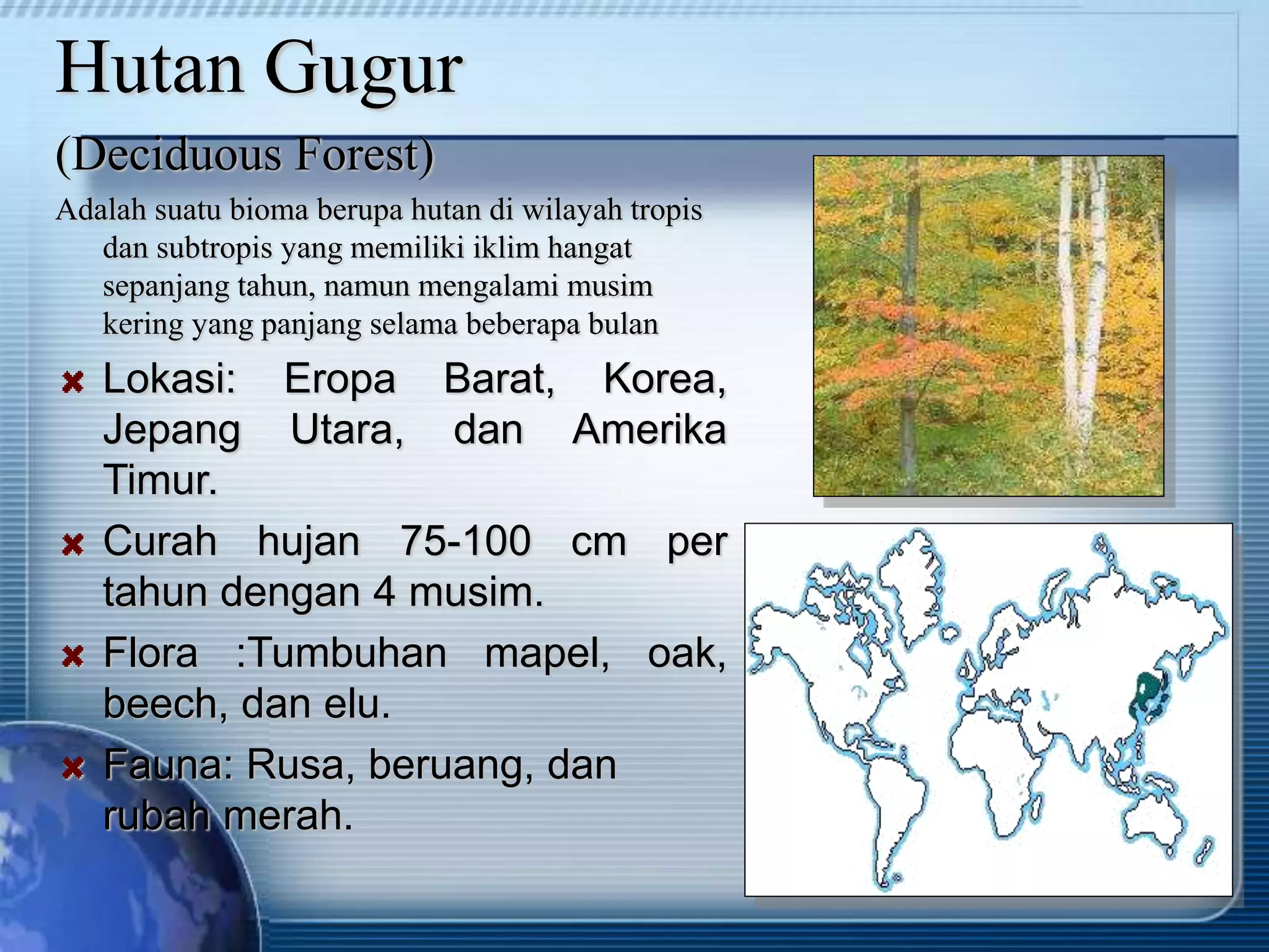 Hutan Gugur
(Deciduous Forest)
Adalah suatu bioma berupa hutan di wilayah tropis
dan subtropis yang memiliki iklim hangat
sepanjang tahun, namun mengalami musim
kering yang panjang selama beberapa bulan
Lokasi: Eropa Barat, Korea,
Jepang Utara, dan Amerika
Timur.
Curah hujan 75-100 cm per
tahun dengan 4 musim.
Flora :Tumbuhan mapel, oak,
beech, dan elu.
Fauna: Rusa, beruang, dan
rubah merah.
 