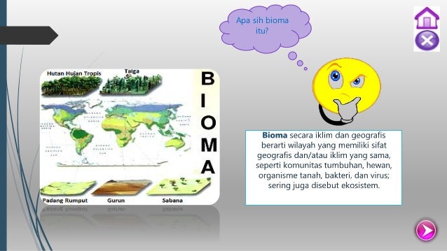 Karakteristik Bioma Di Dunia