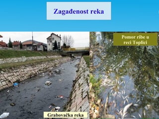 Zagađenost reka
Grabovačka reka
Pomor ribe u
reci Toplici
 