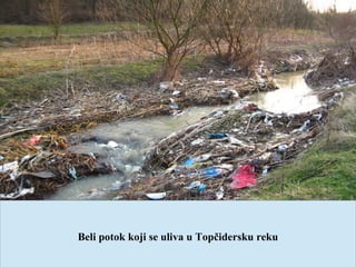 Beli potok koji se uliva u Topčidersku reku
 