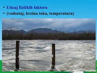  Uticaj fizičkih faktora
 (vodostaj, brzina toka, temperatura)
 