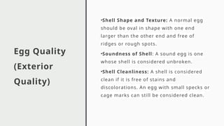Comprehensive Overview of Egg Properties: Quality, Nutrition, and ...
