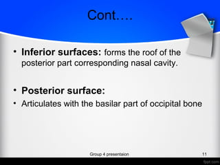 Cont….
• Inferior surfaces: forms the roof of the
posterior part corresponding nasal cavity.
• Posterior surface:
• Articulates with the basilar part of occipital bone
Group 4 presentaion 11
 