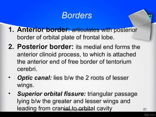 Borders
1. Anterior border: articulates with posterior
border of orbital plate of frontal lobe.
2. Posterior border: its medial end forms the
anterior clinoid process, to which is attached
the anterior end of free border of tentorium
cerebri.
• Optic canal: lies b/w the 2 roots of lesser
wings.
• Superior orbital fissure: triangular passage
lying b/w the greater and lesser wings and
leading from cranial to orbital cavityGroup 4 presentaion 21
 