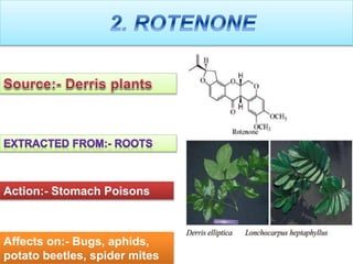 Affects on:- Bugs, aphids,
potato beetles, spider mites
Action:- Stomach Poisons
 