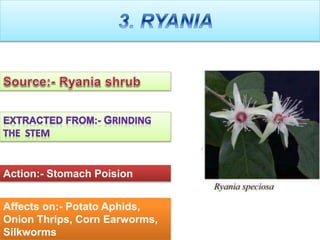 Affects on:- Potato Aphids,
Onion Thrips, Corn Earworms,
Silkworms
Action:- Stomach Poision
 