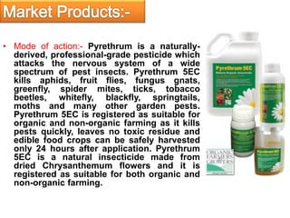 • Mode of action:- Pyrethrum is a naturally-
derived, professional-grade pesticide which
attacks the nervous system of a wide
spectrum of pest insects. Pyrethrum 5EC
kills aphids, fruit flies, fungus gnats,
greenfly, spider mites, ticks, tobacco
beetles, whitefly, blackfly, springtails,
moths and many other garden pests.
Pyrethrum 5EC is registered as suitable for
organic and non-organic farming as it kills
pests quickly, leaves no toxic residue and
edible food crops can be safely harvested
only 24 hours after application. Pyrethrum
5EC is a natural insecticide made from
dried Chrysanthemum flowers and it is
registered as suitable for both organic and
non-organic farming.
 