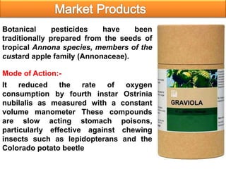 Botanical pesticides have been
traditionally prepared from the seeds of
tropical Annona species, members of the
custard apple family (Annonaceae).
It reduced the rate of oxygen
consumption by fourth instar Ostrinia
nubilalis as measured with a constant
volume manometer These compounds
are slow acting stomach poisons,
particularly effective against chewing
insects such as lepidopterans and the
Colorado potato beetle
Mode of Action:-
 