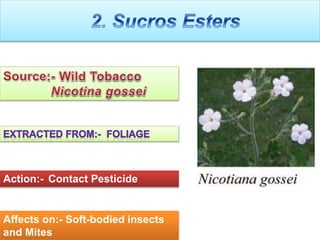 Action:- Contact Pesticide
Affects on:- Soft-bodied insects
and Mites
 