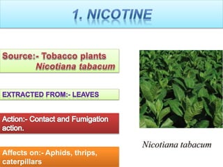 Affects on:- Aphids, thrips,
caterpillars
 