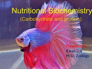 Nutritional Biochemistry
(Carbohydrate and protein)
Presented by..
Karan Das
M.Sc. Zoology
 