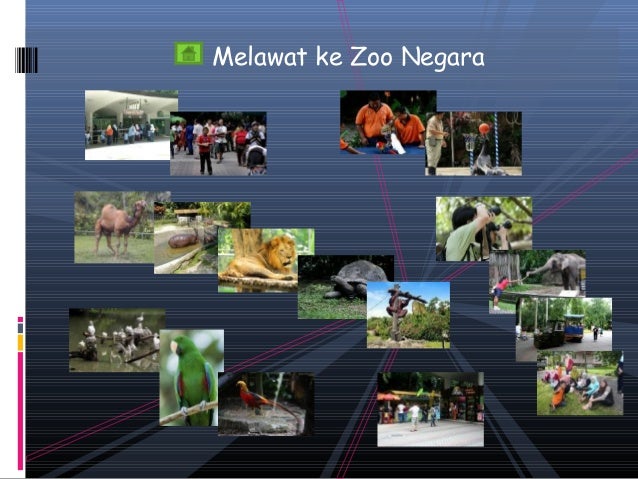 Karangan Bergambar