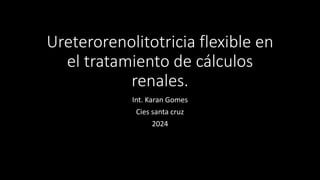 Ureterorenolitotricia flexible en
el tratamiento de cálculos
renales.
Int. Karan Gomes
Cies santa cruz
2024
 