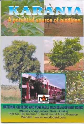 Karanja cultivation