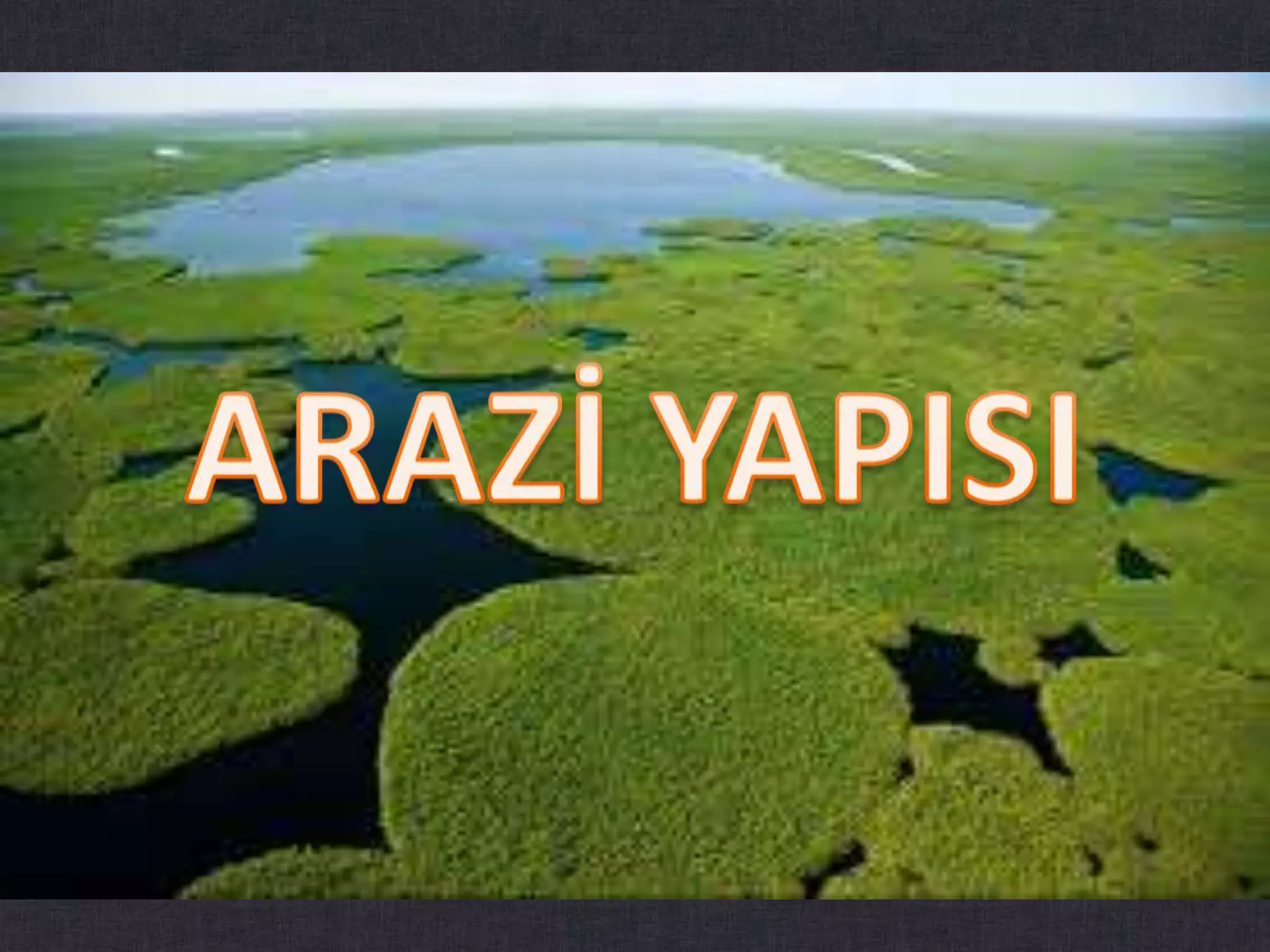 Slide 7