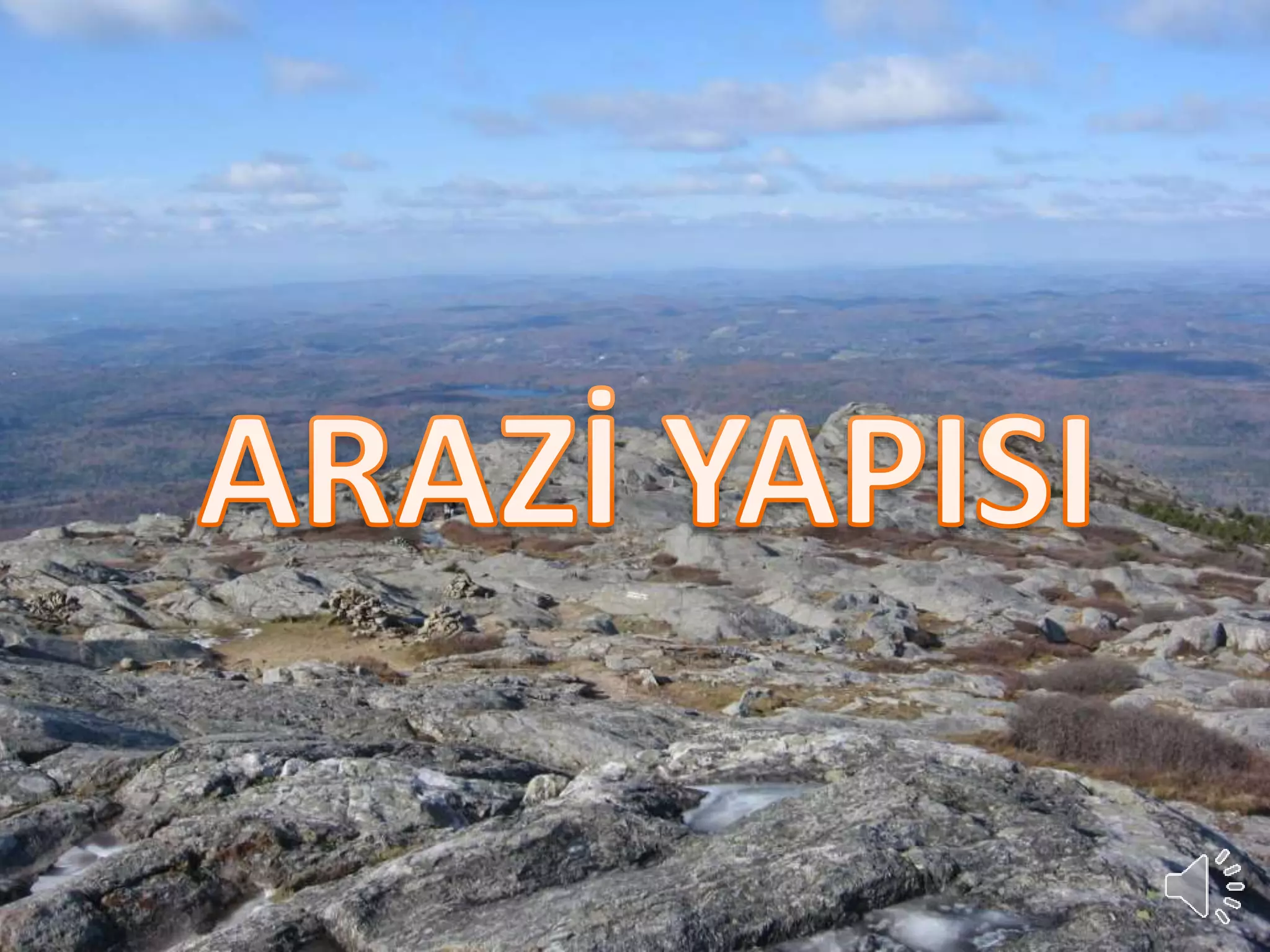 Slide 8