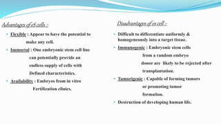 Advantages of eS cells :-
• Flexible : Appear to have the potential to
make any cell.
• Immortal : One embryonic stem cell line
can potentially provide an
endless supply of cells with
Defined characteristics.
• Availability : Embryos from in vitro
Fertilization clinics.
• Difficult to differentiate uniformly &
homogeneously into a target tissue.
• Immunogenic : Embryonic stem cells
from a random embryo
donor are likely to be rejected after
transplantation.
• Tumorigenic : Capable of forming tumors
or promoting tumor
formation.
• Destruction of developing human life.
Disadvantages of es cell :-
 