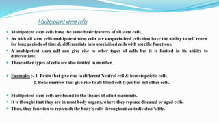 Multipotent stem cells
 Multipotent stem cells have the same basic features of all stem cells.
 As with all stem cells multipotent stem cells are unspecialized cells that have the ability to self renew
for long periods of time & differentiate into specialised cells with specific functions.
 A multipotent stem cell can give rise to other types of cells but it is limited in its ability to
differentiate.
 These other types of cells are also limited in number.
 Examples :- 1. Brain that give rise to different Neutral cell & hematopoietic cells.
2. Bone marrow that give rise to all blood cell types but not other cells.
 Multipotent stem cells are found in the tissues of adult mammals.
 It is thought that they are in most body organs, where they replace diseased or aged cells.
 Thus, they function to replenish the body’s cells throughout an individual’s life.
 