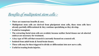 Benefits of multipotent stem cells :-
 There are numerous benefits & uses.
 Multipotent stem cells are derived from pluripotent stem cells, these stem cells have
already partially differentiated & they continue specialising as they develop.
 Useful in transplant.
 The extracting foetal stem cells are avoided, because neither foetal tissues nor ab aborted
embryo are necessary for treatment.
 A key type of MS cell that research is currently focused on a neural cell.
 Isolated from adult brain & foetal brain tissues.
 These cells may be then triggered to divide or differentiate into new nerve cells.
 Useful in treating brain injuries.
 