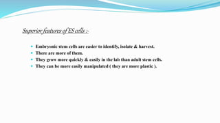 Superior features of ES cells :-
 Embryonic stem cells are easier to identify, isolate & harvest.
 There are more of them.
 They grow more quickly & easily in the lab than adult stem cells.
 They can be more easily manipulated ( they are more plastic ).
 