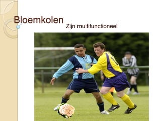 Bloemkolen
             Zijn multifunctioneel
 