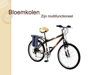 Bloemkolen
             Zijn multifunctioneel
 