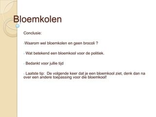 Bloemkolen
  Conclusie:

  -Waarom      wel bloemkolen en geen brocoli ?

  -   Wat betekend een bloemkool voor de politiek.

  -   Bedankt voor jullie tijd

  -Laatste tip: De volgende keer dat je een bloemkool ziet, denk dan na
  over een andere toepassing voor die bloemkool!
 