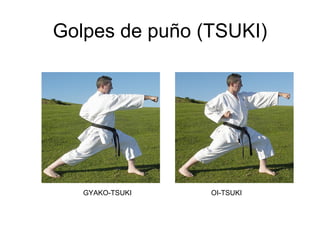 Golpes de puño (TSUKI) GYAKO-TSUKI    OI-TSUKI    