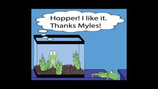 Karate frog fully illustrated