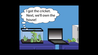 Karate frog fully illustrated